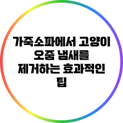 가죽소파에서 고양이 오줌 냄새를 제거하는 효과적인 팁