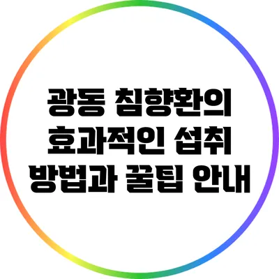 광동 침향환의 효과적인 섭취 방법과 꿀팁 안내