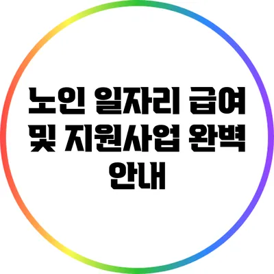 노인 일자리 급여 및 지원사업 완벽 안내