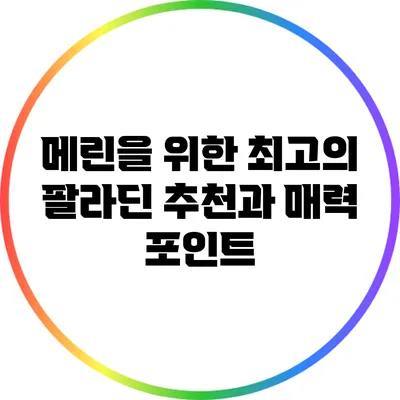 메린을 위한 최고의 팔라딘 추천과 매력 포인트