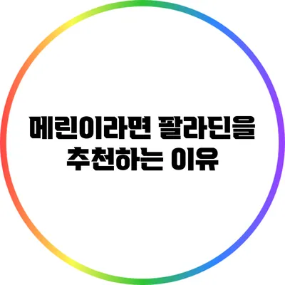 메린이라면 팔라딘을 추천하는 이유