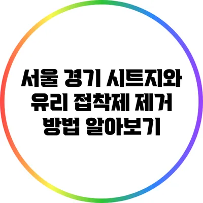 서울 경기 시트지와 유리 접착제 제거 방법 알아보기