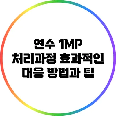 연수 1MP 처리과정: 효과적인 대응 방법과 팁