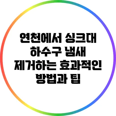 연천에서 싱크대 하수구 냄새 제거하는 효과적인 방법과 팁