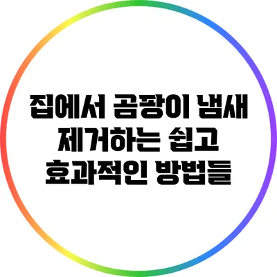 집에서 곰팡이 냄새 제거하는 쉽고 효과적인 방법들