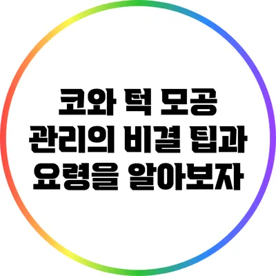 코와 턱 모공 관리의 비결: 팁과 요령을 알아보자