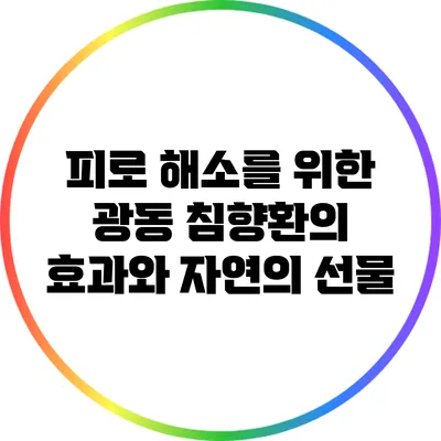 피로 해소를 위한 광동 침향환의 효과와 자연의 선물