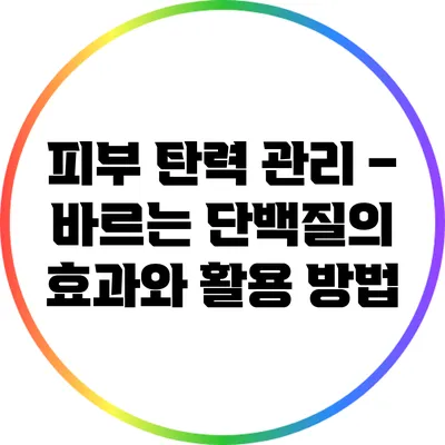 피부 탄력 관리 – 바르는 단백질의 효과와 활용 방법