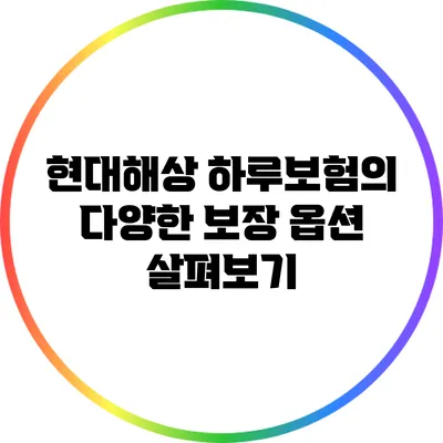 현대해상 하루보험의 다양한 보장 옵션 살펴보기