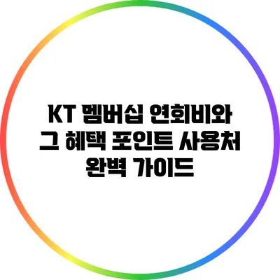 KT 멤버십 연회비와 그 혜택: 포인트 사용처 완벽 가이드