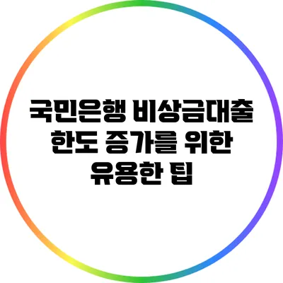 국민은행 비상금대출 한도 증가를 위한 유용한 팁
