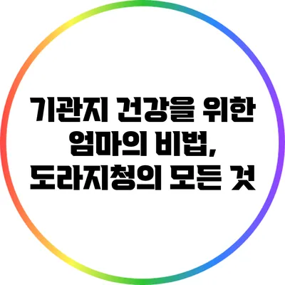 기관지 건강을 위한 엄마의 비법, 도라지청의 모든 것