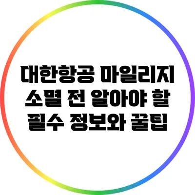 대한항공 마일리지 소멸 전 알아야 할 필수 정보와 꿀팁