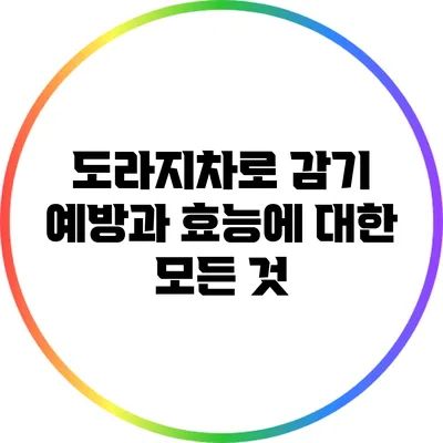 도라지차로 감기 예방과 효능에 대한 모든 것