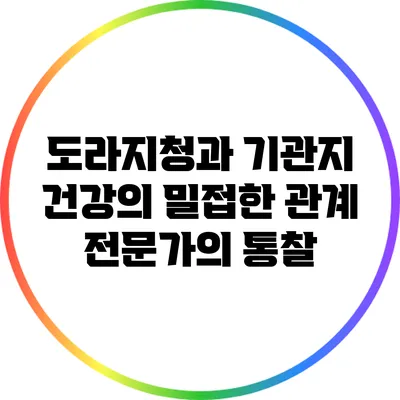 도라지청과 기관지 건강의 밀접한 관계: 전문가의 통찰
