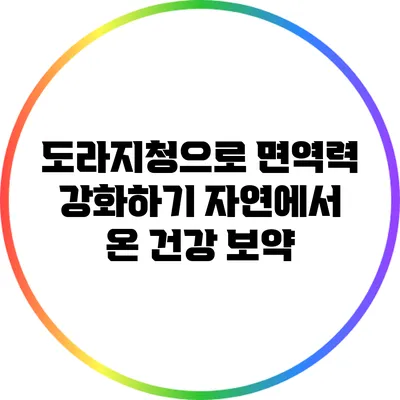 도라지청으로 면역력 강화하기: 자연에서 온 건강 보약