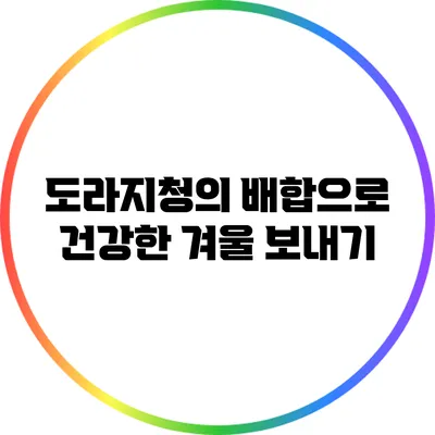 도라지청의 배합으로 건강한 겨울 보내기