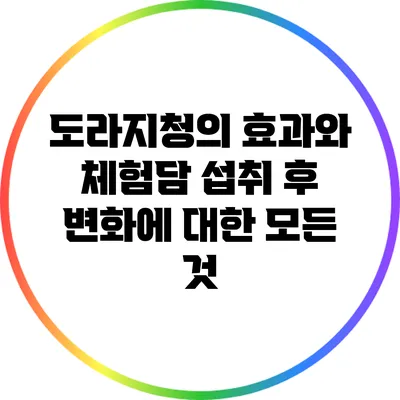 도라지청의 효과와 체험담: 섭취 후 변화에 대한 모든 것