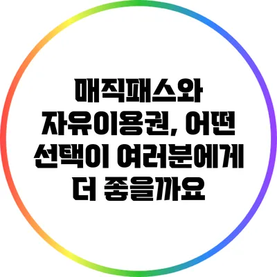 매직패스와 자유이용권, 어떤 선택이 여러분에게 더 좋을까요?