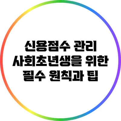 신용점수 관리: 사회초년생을 위한 필수 원칙과 팁