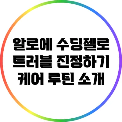 알로에 수딩젤로 트러블 진정하기: 케어 루틴 소개