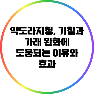 약도라지청, 기침과 가래 완화에 도움되는 이유와 효과