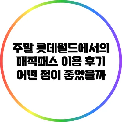 주말 롯데월드에서의 매직패스 이용 후기: 어떤 점이 좋았을까?