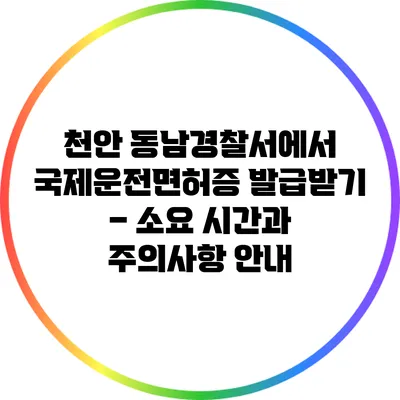 천안 동남경찰서에서 국제운전면허증 발급받기 – 소요 시간과 주의사항 안내