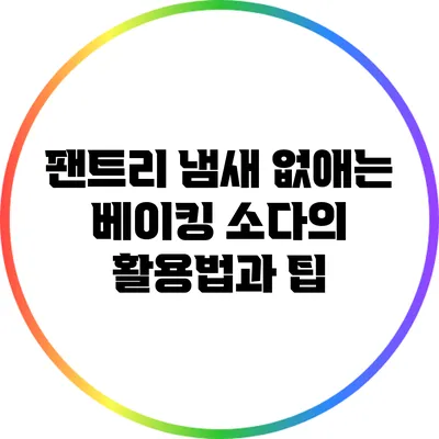 팬트리 냄새 없애는 베이킹 소다의 활용법과 팁