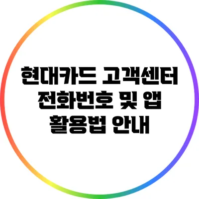 현대카드 고객센터 전화번호 및 앱 활용법 안내