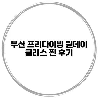 부산 프리다이빙 원데이 클래스 찐 후기