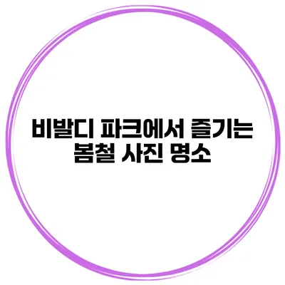 비발디 파크에서 즐기는 봄철 사진 명소
