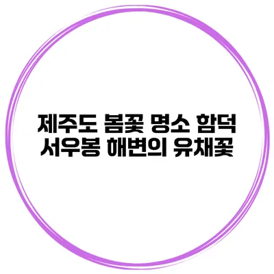 제주도 봄꽃 명소 함덕 서우봉 해변의 유채꽃