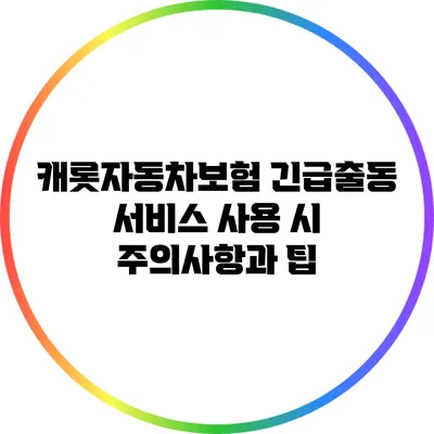 캐롯자동차보험 긴급출동 서비스 사용 시 주의사항과 팁